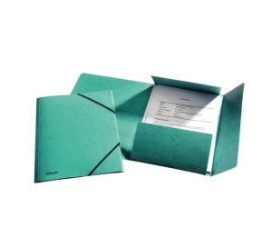 TECZKA Z GUMKĄ ESSELTE PRESZPANOWA ZIELONA 26596