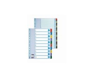 PRZEKŁADKA ESSELTE A4/12 KARTONOWA MYLAR