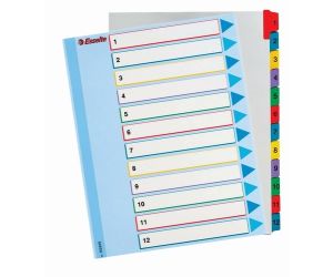 PRZEKŁADKA ESSELTE A4/12 MYLAR MAXI