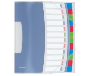 TECZKA SEGREGUJĄCA ESSELTE VIVIDA 12 PRZEGRÓDEK
