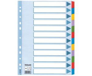 PRZEKŁADKA ESSELTE A4/12 KART Z OPISEM