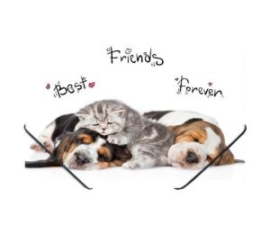 TECZKA Z GUMKĄ PP PANTA PLAST A4 Z NADRUKIEM ANIMALS