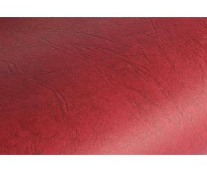 KARTON DELTA ARGO A4 OP 100 SZTUK CZERWONY