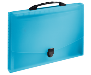 TECZKA Z 12 PRZEGRÓDKAMI ESSELTE VIVIDA NIEBIESKA