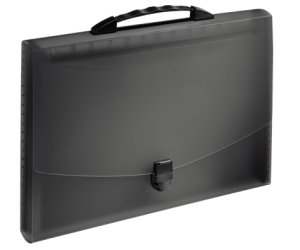 TECZKA Z 12 PRZEGRÓDKAMI ESSELTE VIVIDA CZARNA