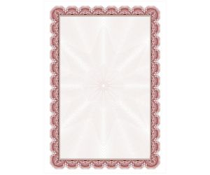 DYPLOM ARGO ARNIKA A4 170G/M2 OPAKOWANIE 25 SZTUK