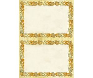 DYPLOM ARGO CELTIC A4/A5 170G/M2 OPAKOWANIE 25 SZTUK