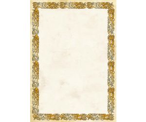 DYPLOM ARGO CELTIC 250G/M2 OPAKOWANIE 20 SZTUK