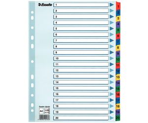 PRZEKŁADKA ESSELTE A4/20 MYLAR BIAŁA