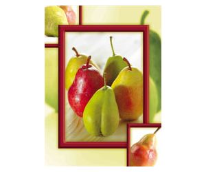 TECZKA Z GUMKĄ KRESKA LAKIEROWANA A4 OWOCE  651