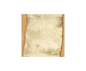 ARKUSZ BARWNY ARGO HEROLD A4 OP. 50 ARKUSZY