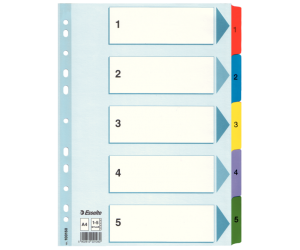 PRZEKŁADKA ESSELTE A4/5 MYLAR BIAŁA