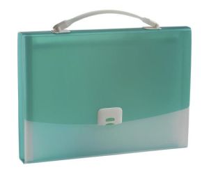 TECZKA Z RĄCZKĄ PANTA PLAST FOCUS A4 HARMONIJKA 13 PRZEGRÓD 4306 ZIELONY