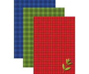 TECZKA Z GUMKĄ KRESKA LAKIEROWANA A4 KRATKA 650